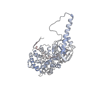 5645_3j3x_D_v1-2
Independent reconstruction of Mm-cpn cryo-EM density map from half dataset in the closed state (training map)