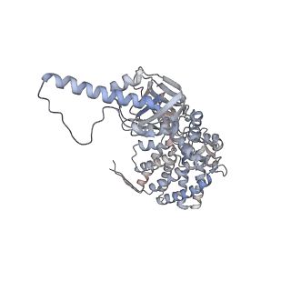 5645_3j3x_F_v1-3
Independent reconstruction of Mm-cpn cryo-EM density map from half dataset in the closed state (training map)