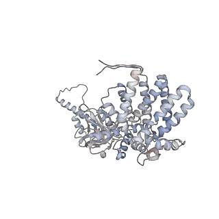 5645_3j3x_I_v1-3
Independent reconstruction of Mm-cpn cryo-EM density map from half dataset in the closed state (training map)