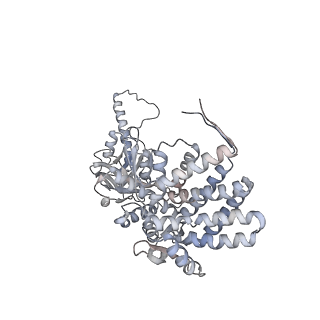 5645_3j3x_J_v1-3
Independent reconstruction of Mm-cpn cryo-EM density map from half dataset in the closed state (training map)