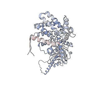 5645_3j3x_O_v1-3
Independent reconstruction of Mm-cpn cryo-EM density map from half dataset in the closed state (training map)