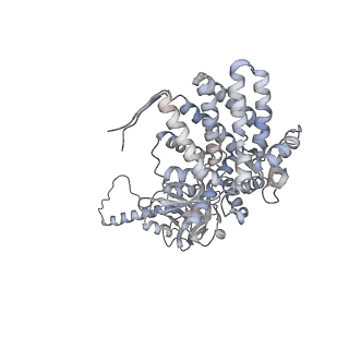 5645_3j3x_P_v1-3
Independent reconstruction of Mm-cpn cryo-EM density map from half dataset in the closed state (training map)