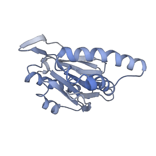 9773_6j30_1_v1-2
yeast proteasome in Ub-engaged state (C2)