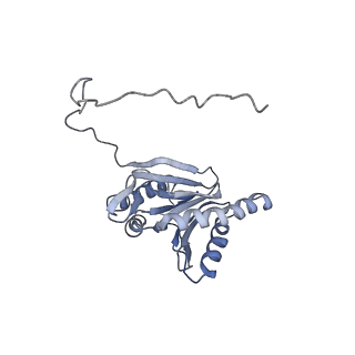 9773_6j30_2_v1-2
yeast proteasome in Ub-engaged state (C2)