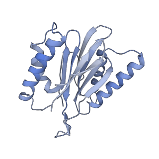 9773_6j30_4_v1-2
yeast proteasome in Ub-engaged state (C2)