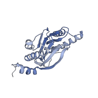 9773_6j30_5_v1-2
yeast proteasome in Ub-engaged state (C2)