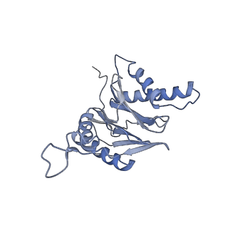 9773_6j30_6_v1-2
yeast proteasome in Ub-engaged state (C2)