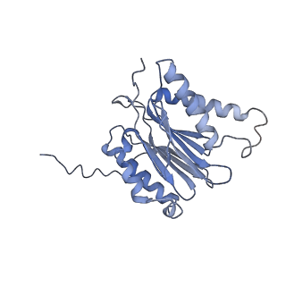 9773_6j30_7_v1-2
yeast proteasome in Ub-engaged state (C2)
