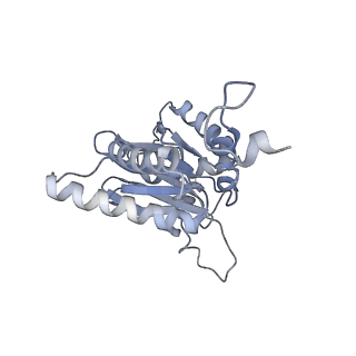 9773_6j30_A_v1-2
yeast proteasome in Ub-engaged state (C2)