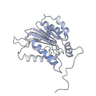 9773_6j30_B_v1-2
yeast proteasome in Ub-engaged state (C2)
