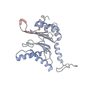 9773_6j30_C_v1-2
yeast proteasome in Ub-engaged state (C2)