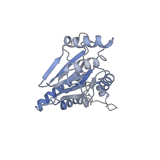 9773_6j30_D_v1-2
yeast proteasome in Ub-engaged state (C2)