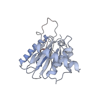 9773_6j30_E_v1-2
yeast proteasome in Ub-engaged state (C2)