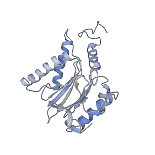 9773_6j30_F_v1-2
yeast proteasome in Ub-engaged state (C2)