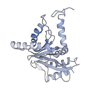 9773_6j30_G_v1-2
yeast proteasome in Ub-engaged state (C2)