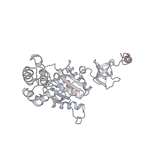 9773_6j30_H_v1-2
yeast proteasome in Ub-engaged state (C2)