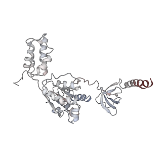 9773_6j30_I_v1-2
yeast proteasome in Ub-engaged state (C2)