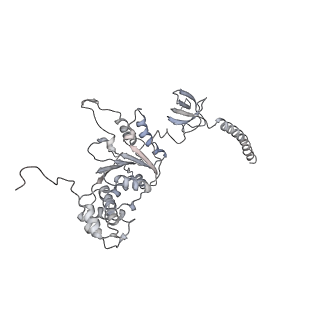 9773_6j30_M_v1-2
yeast proteasome in Ub-engaged state (C2)