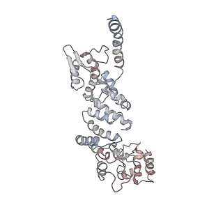 9773_6j30_O_v1-2
yeast proteasome in Ub-engaged state (C2)