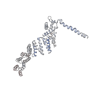 9773_6j30_P_v1-2
yeast proteasome in Ub-engaged state (C2)