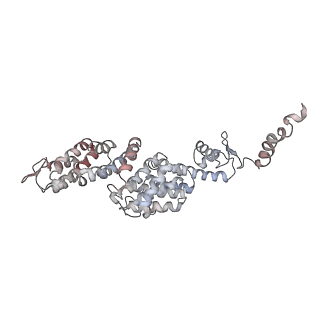 9773_6j30_Q_v1-2
yeast proteasome in Ub-engaged state (C2)