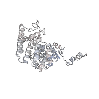 9773_6j30_R_v1-2
yeast proteasome in Ub-engaged state (C2)