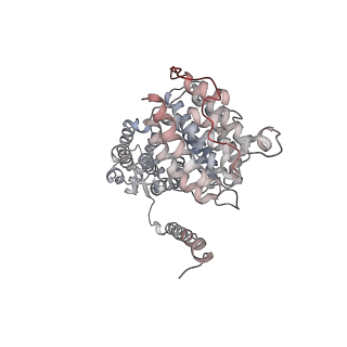 9773_6j30_S_v1-2
yeast proteasome in Ub-engaged state (C2)