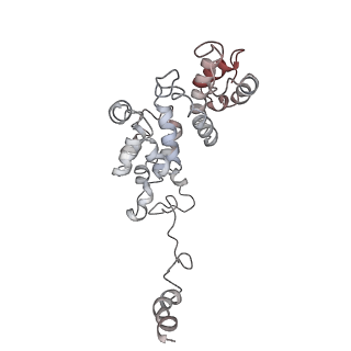 9773_6j30_T_v1-2
yeast proteasome in Ub-engaged state (C2)
