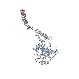 9773_6j30_U_v1-2
yeast proteasome in Ub-engaged state (C2)