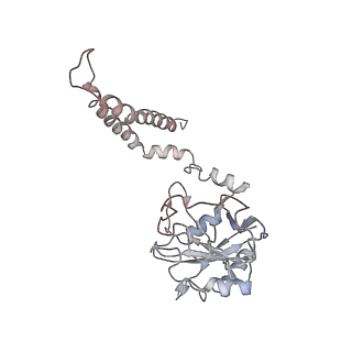 9773_6j30_V_v1-2
yeast proteasome in Ub-engaged state (C2)