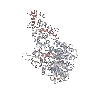 9773_6j30_Z_v1-2
yeast proteasome in Ub-engaged state (C2)