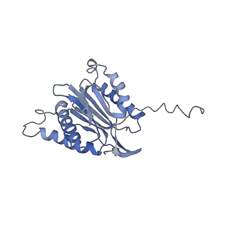 9773_6j30_a_v1-2
yeast proteasome in Ub-engaged state (C2)
