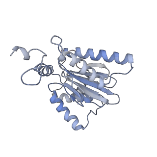 9773_6j30_c_v1-2
yeast proteasome in Ub-engaged state (C2)