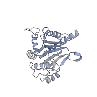 9773_6j30_d_v1-2
yeast proteasome in Ub-engaged state (C2)