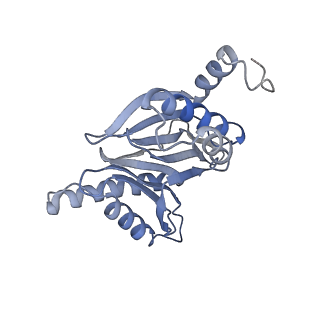 9773_6j30_f_v1-2
yeast proteasome in Ub-engaged state (C2)
