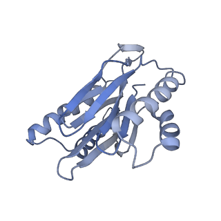 9773_6j30_g_v1-2
yeast proteasome in Ub-engaged state (C2)