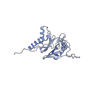 9773_6j30_i_v1-2
yeast proteasome in Ub-engaged state (C2)