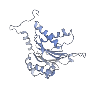 9773_6j30_j_v1-2
yeast proteasome in Ub-engaged state (C2)