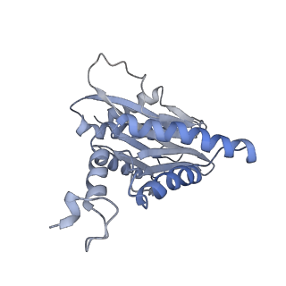 9773_6j30_k_v1-2
yeast proteasome in Ub-engaged state (C2)