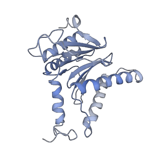 9773_6j30_l_v1-2
yeast proteasome in Ub-engaged state (C2)