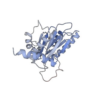 9773_6j30_n_v1-2
yeast proteasome in Ub-engaged state (C2)