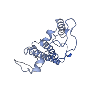 9775_6j3y_14_v1-3
Structure of C2S2-type PSII-FCPII supercomplex from diatom
