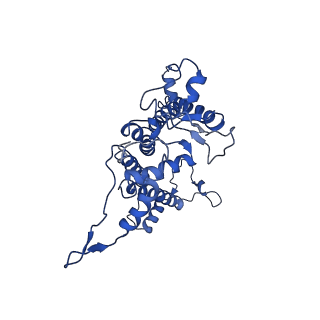 9775_6j3y_A_v1-3
Structure of C2S2-type PSII-FCPII supercomplex from diatom