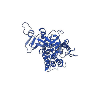 9775_6j3y_B_v1-3
Structure of C2S2-type PSII-FCPII supercomplex from diatom
