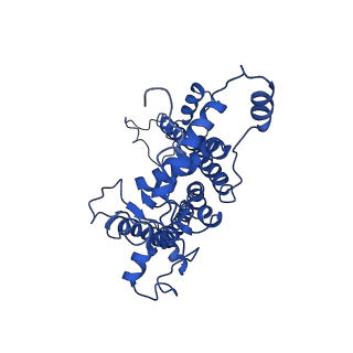 9775_6j3y_D_v1-3
Structure of C2S2-type PSII-FCPII supercomplex from diatom