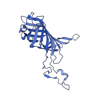 9775_6j3y_O_v1-3
Structure of C2S2-type PSII-FCPII supercomplex from diatom
