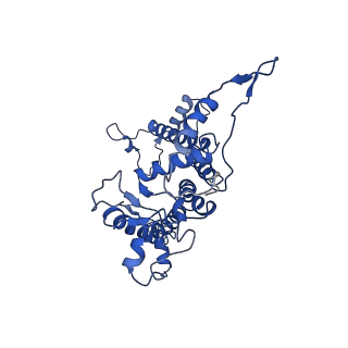 9775_6j3y_a_v1-3
Structure of C2S2-type PSII-FCPII supercomplex from diatom