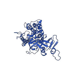 9775_6j3y_b_v1-3
Structure of C2S2-type PSII-FCPII supercomplex from diatom
