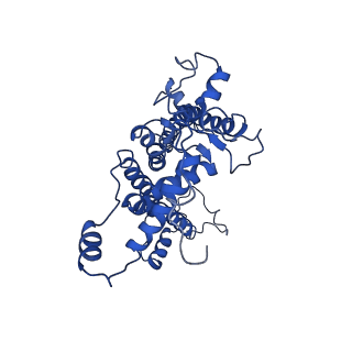 9775_6j3y_d_v1-3
Structure of C2S2-type PSII-FCPII supercomplex from diatom