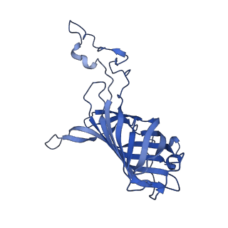 9775_6j3y_o_v1-3
Structure of C2S2-type PSII-FCPII supercomplex from diatom